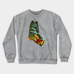 Colorful Butterfly Side view Crewneck Sweatshirt